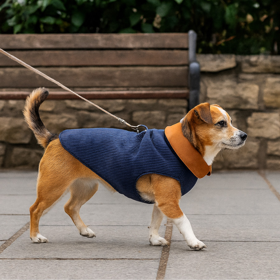 Outech Abrigo Estilo Aviador Rosa y Azul para perros