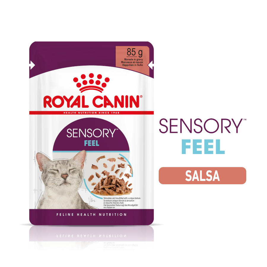 85 g Royal Canin Adult Sensory Feel salsa sobre para gatos