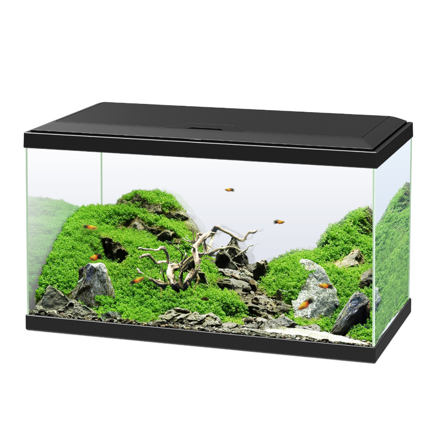 Ciano Aqua Led 60 Negro acuario con luz led filtro y calentador