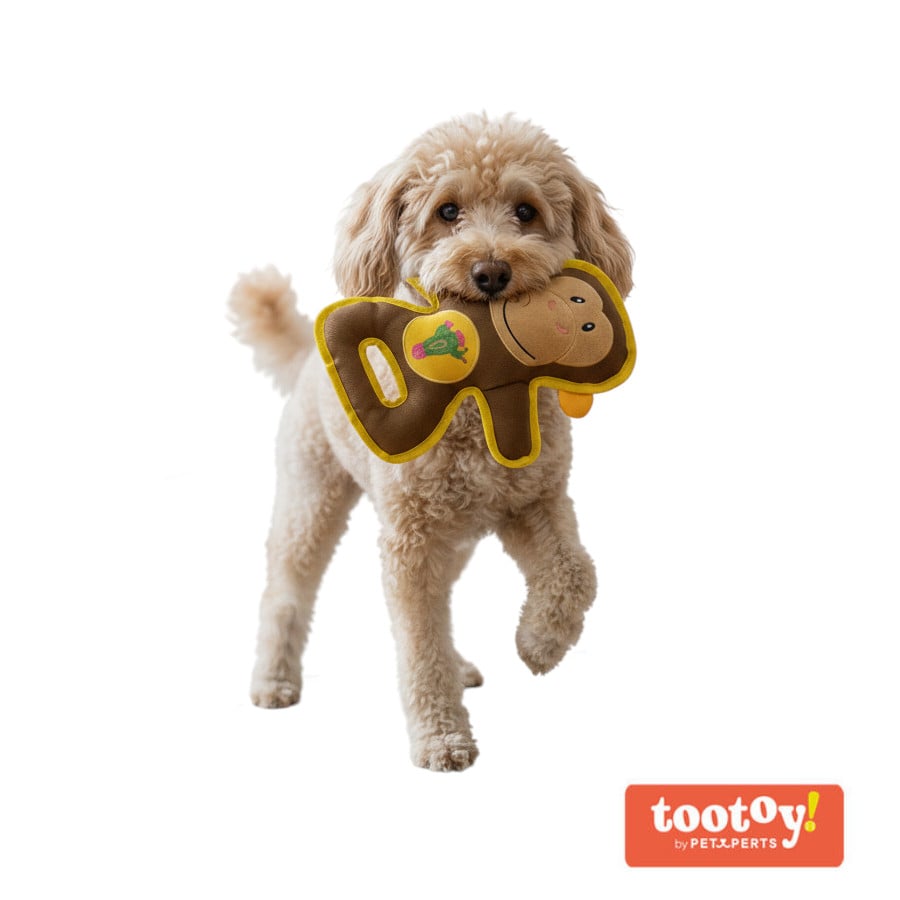 Tootoy! Mono Mordedor de Peluche Resistente para perros