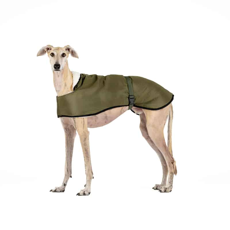Abrigo Impermeable para Galgos: Estilo, Protección Contra el Frío y la Lluvia - Forro de Borreguito, Aislamiento Térmico, Orificio para Arnés  - Ideal