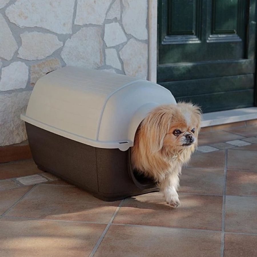 Ferplast Kenny Caseta de Plástico Marrón para perros