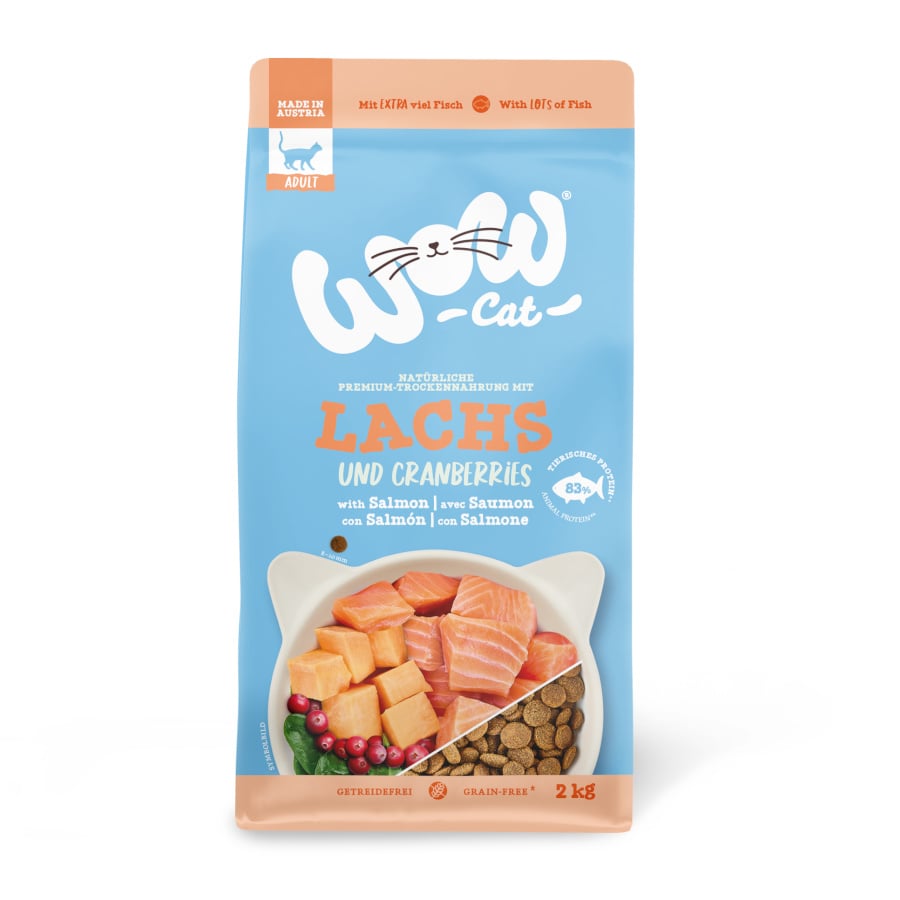 2 kg Wow Adult Salmón pienso para gatos