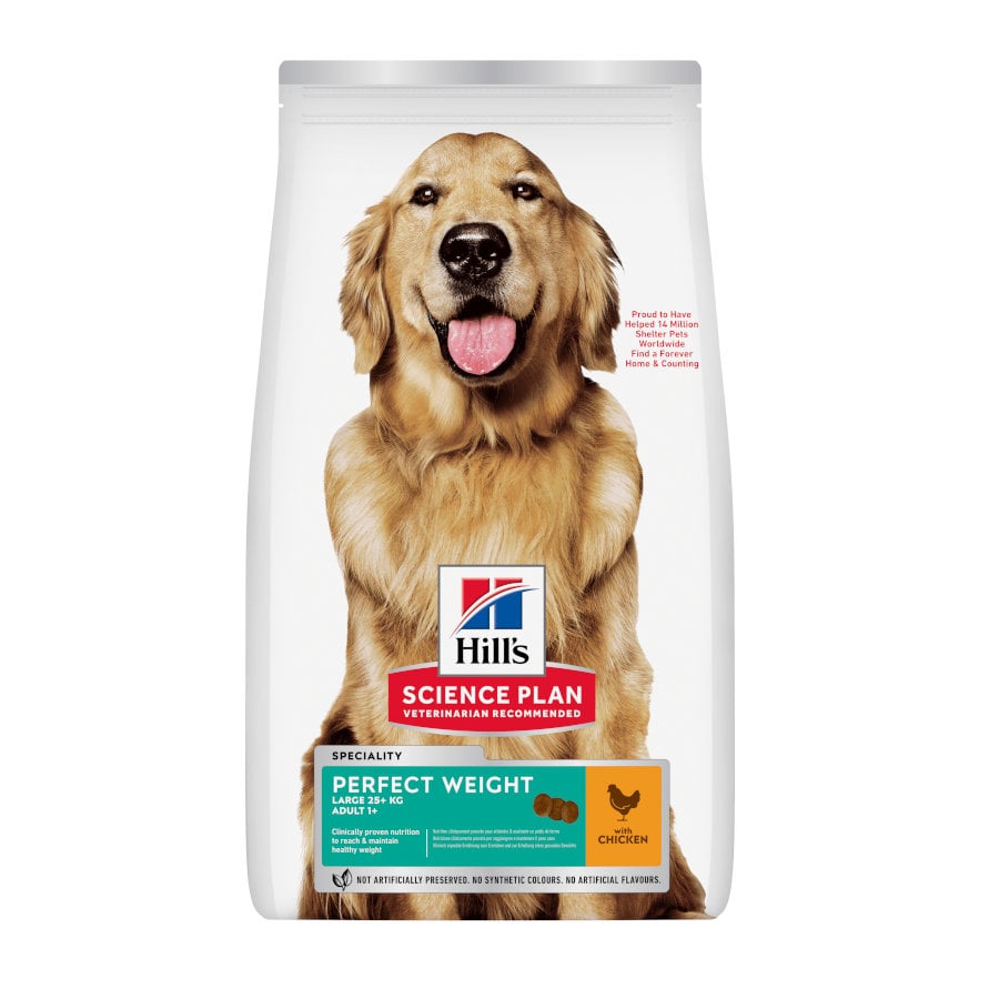 12 Kg Hill's Science Plan Perfect Weight Adult Large Pollo Pienso Para Perros-image