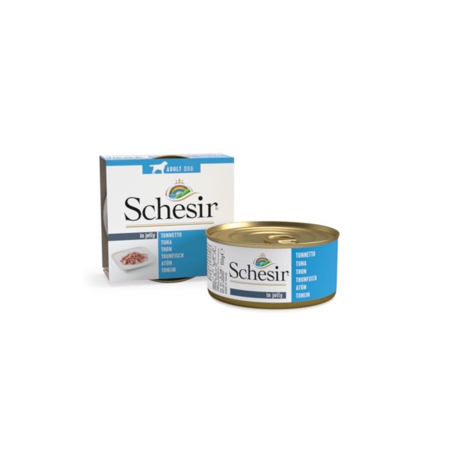 12 latas x 150 g Schesir Adult atún en gelatina lata para perros ¡Pack ahorro!