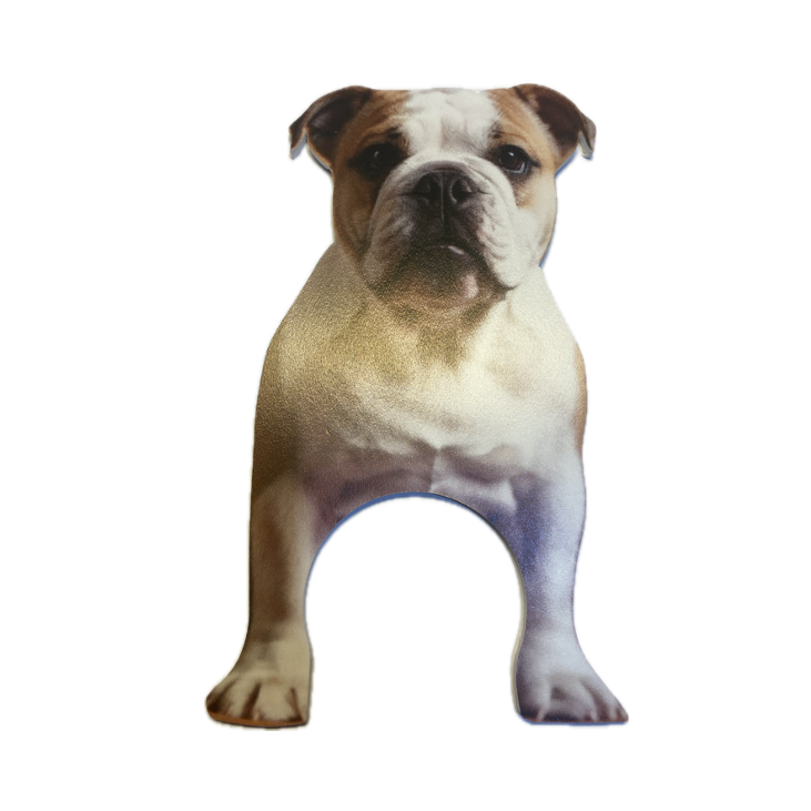 Cubierta Decorativa para Cámara WiFi, Diseño de Perrito guardián