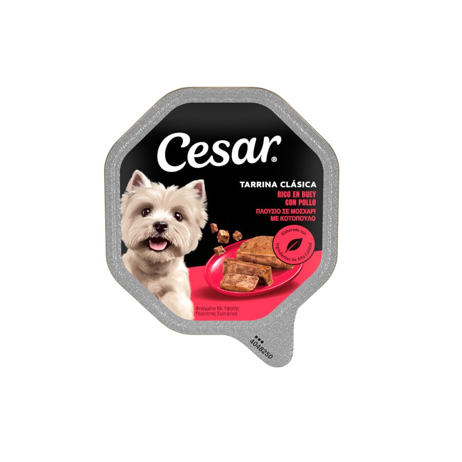 150 g Cesar Buey Tarrina en Paté para Perros