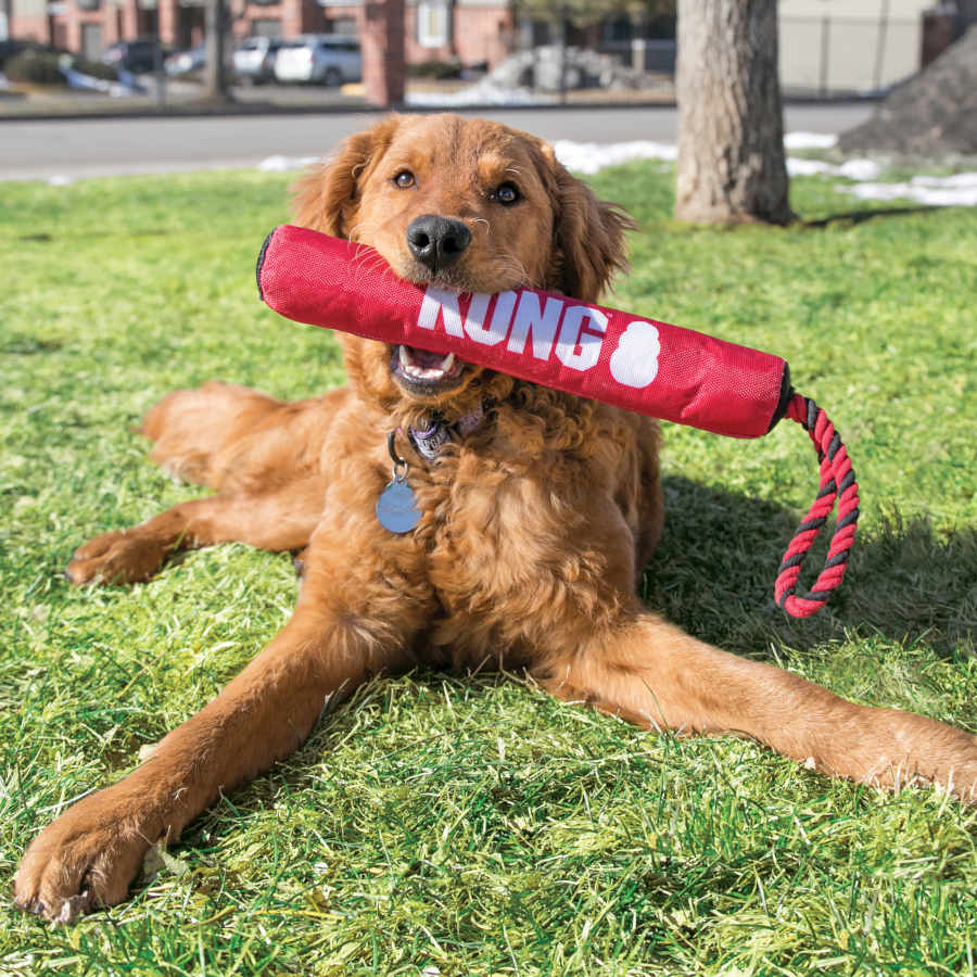 Kong Palo con Cuerda para perros