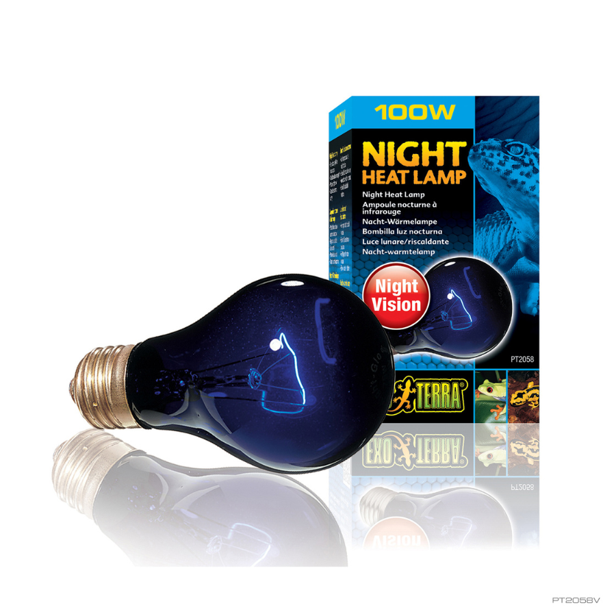 Lámpara incandescente Exo-Terra Night Glo