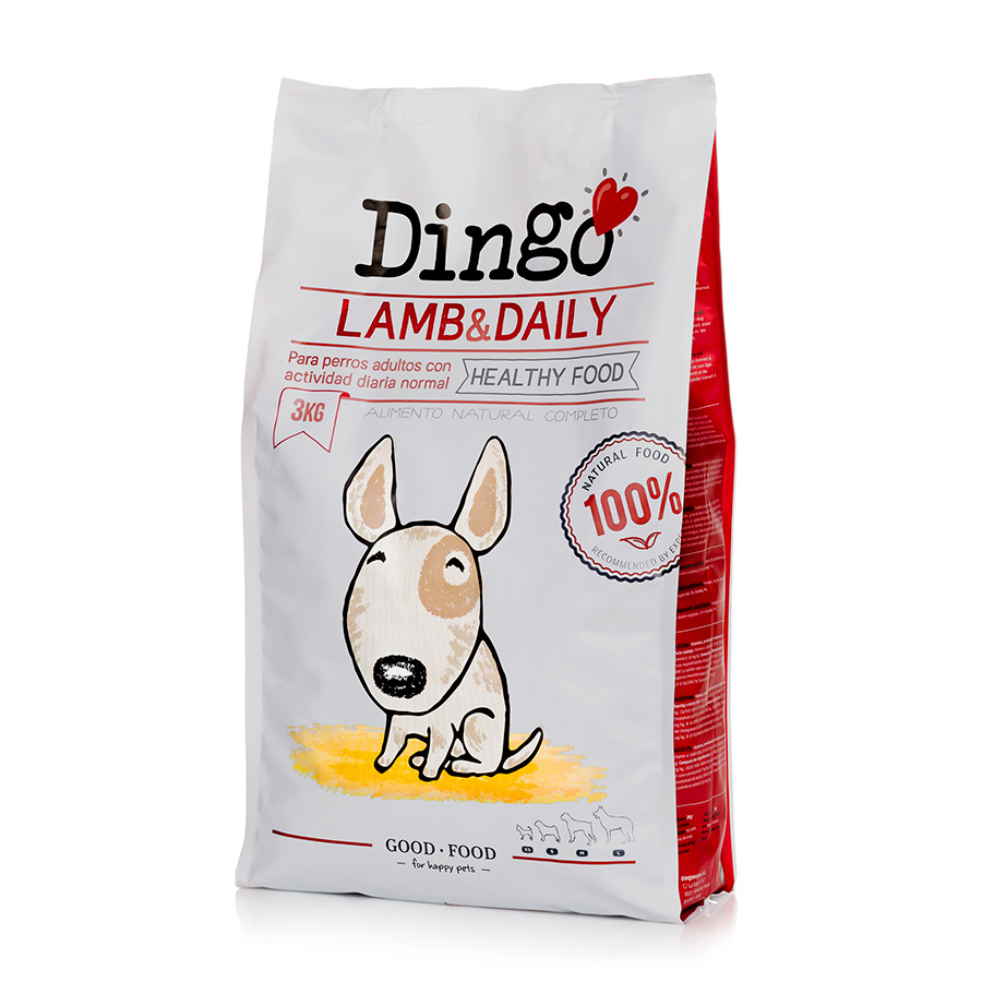 Dingo Adult Cordero