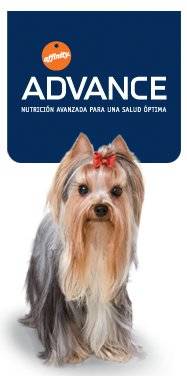 Pienso Advance especial para Yorkshire Terrier