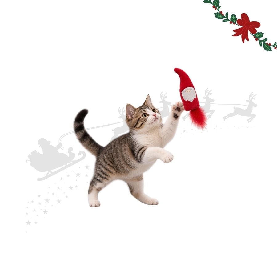 Wonder Christmas Teaser Papá Noel Juguete para gatos