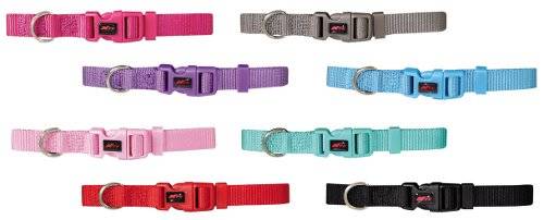 Collares para perros nylon basic colores