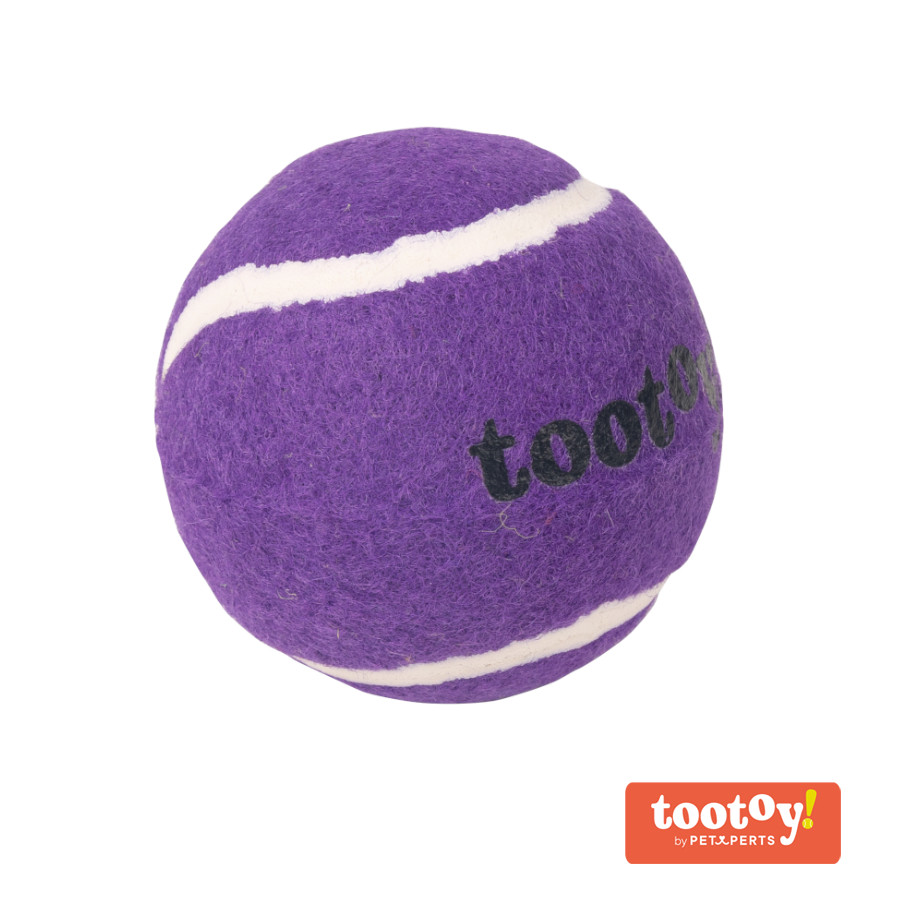 Tootoy! Chase Squeaker Ball Morada pelota de tenis para perros