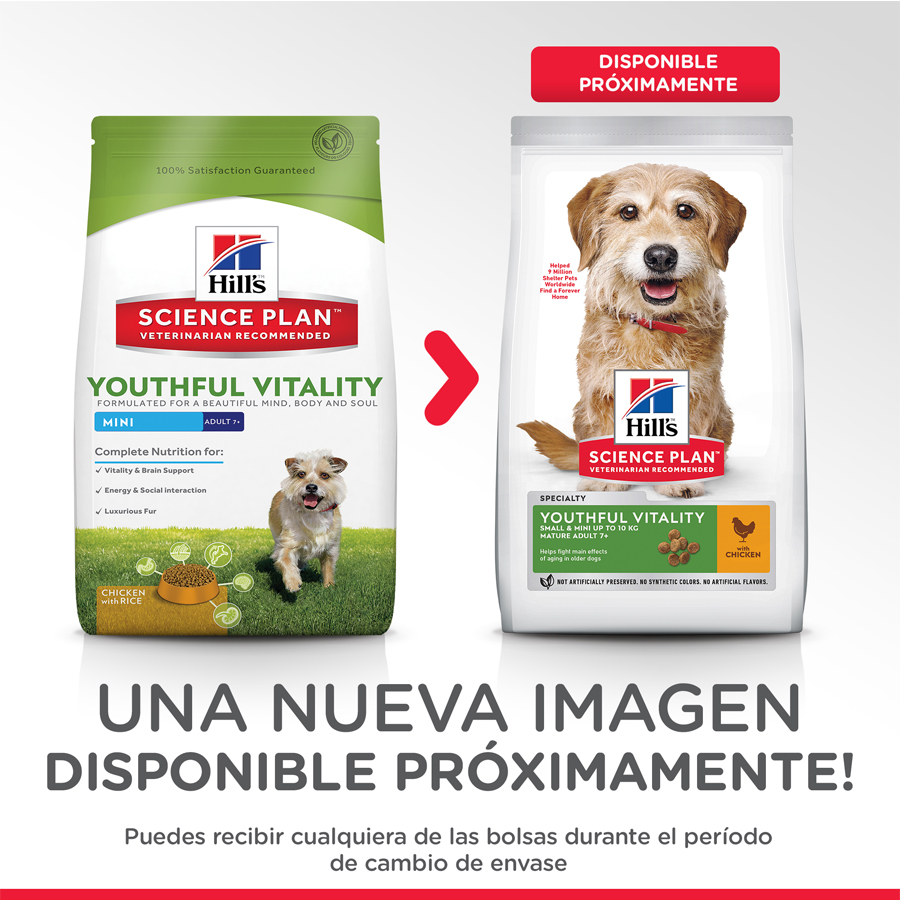 Hill's Science Plan Youthful Vitality Adult Small & Mini Pollo pienso para perros, , large image number null
