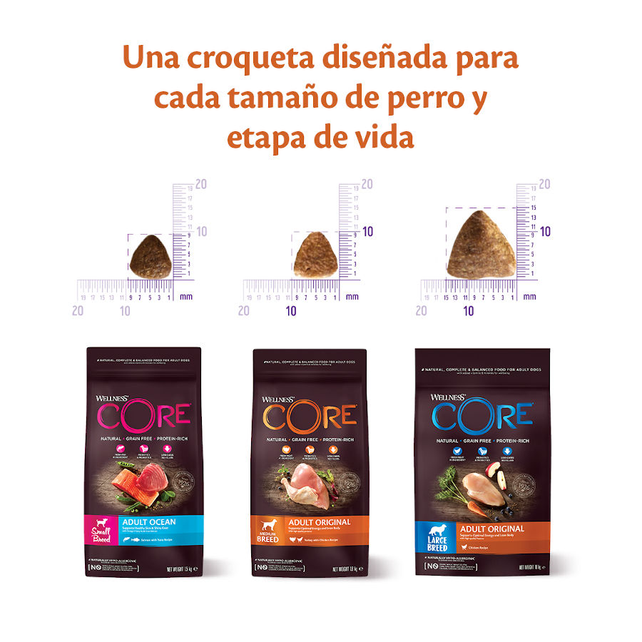 Wellness Core Adult Small Ocean Salmón y Atún pienso para perros , , large image number null