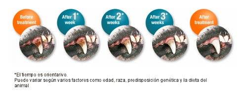 Spray higiene dental natural perros y gatos olvida el mal aliento