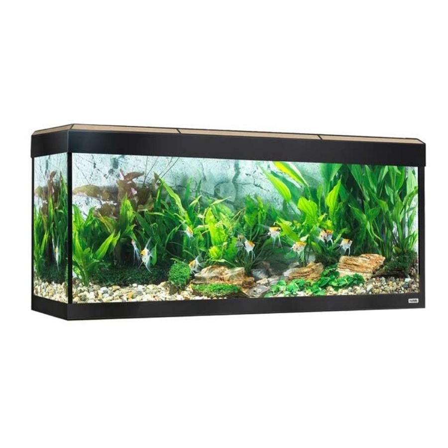Acuario Roma Led Bluetooth para peces color Roble
