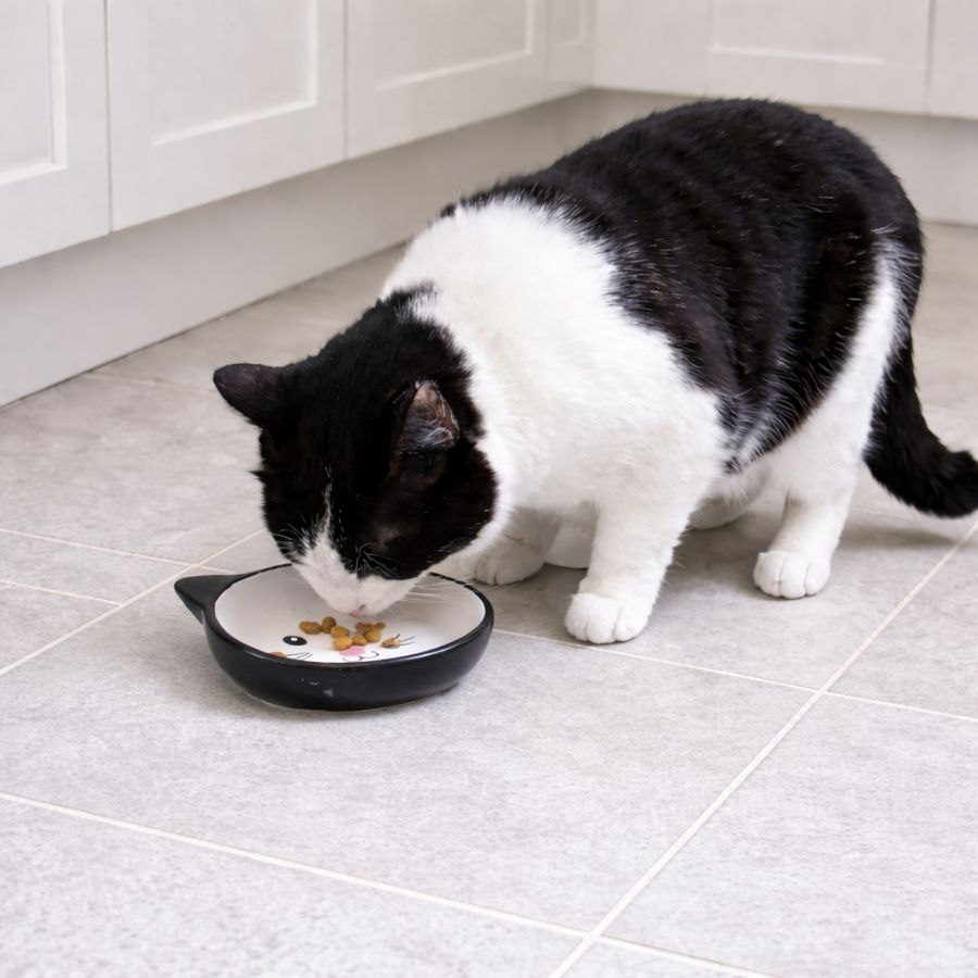 Leeby Comedero de Cerámica Blanco y Negro con Orejitas para gatos