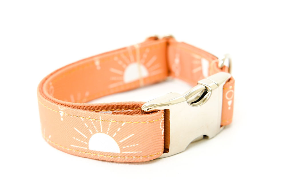 Collar SUNNY DAYS normal perro 3cm M-L