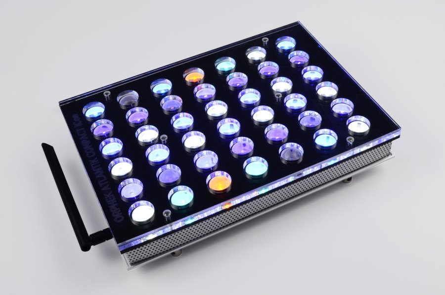 ORPHEK ATLANTIK ICON