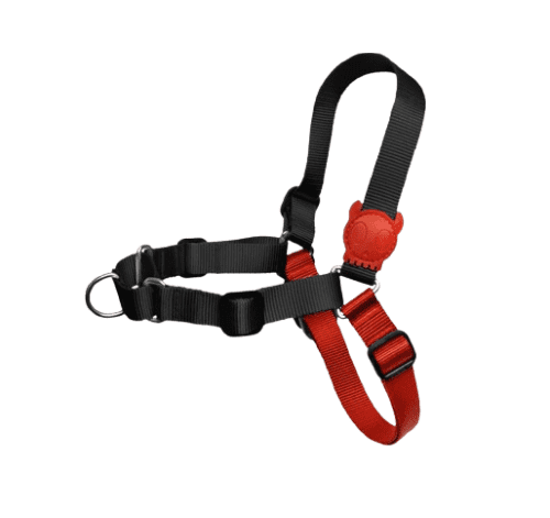 Arnés Zee.dog SOFT-WALK FATBOY L