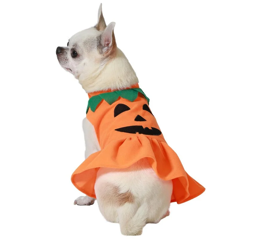 Disfraz de Calabaza de Halloween para perro