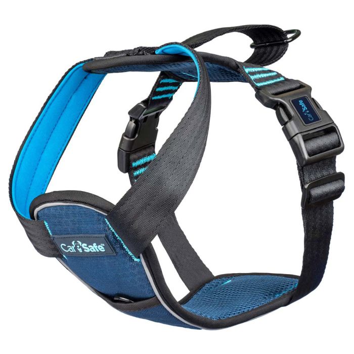 Arnés para el coche safe crash tested azul x-small