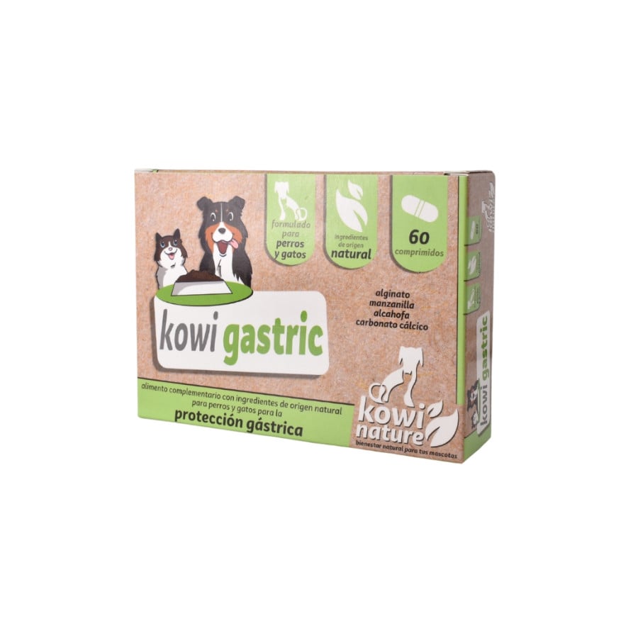 KOWI GASTRIC, 60 COMPRIMIDOS