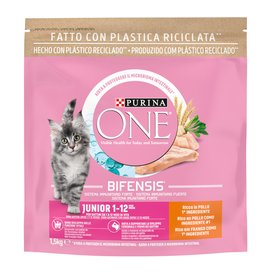 1.5 kg Purina One Junior Bifensis Pollo pienso para gatos