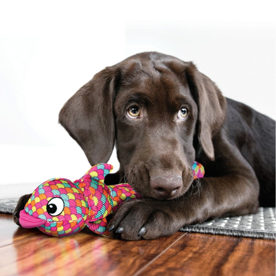 Kong Wubba Finz Pez Rosa juguete para perros