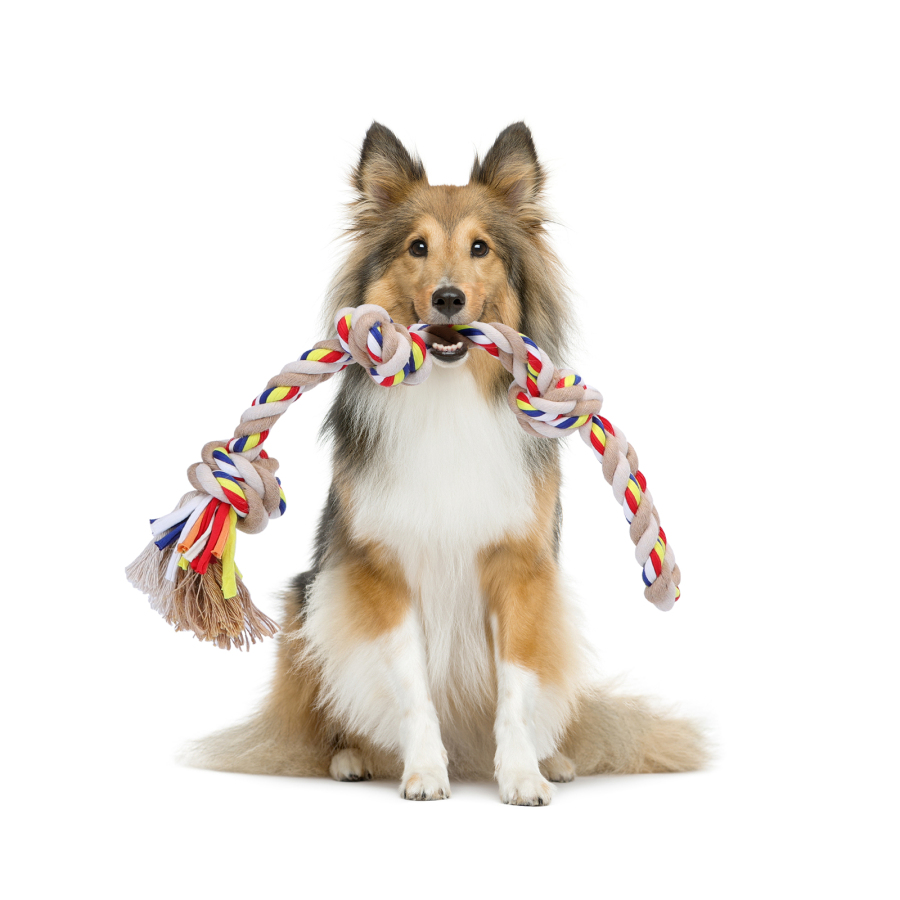Nobleza – Cuerda de Juguete para Perros 100% algodón