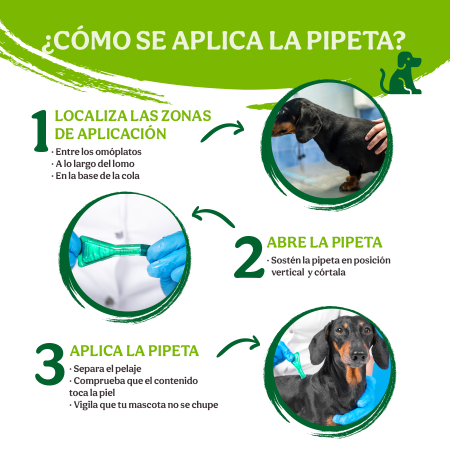 desbloquear pantalla Por encima de la cabeza y el hombro Advantix Pipetas triple protección antiparasitaria para perros | Tiendanimal