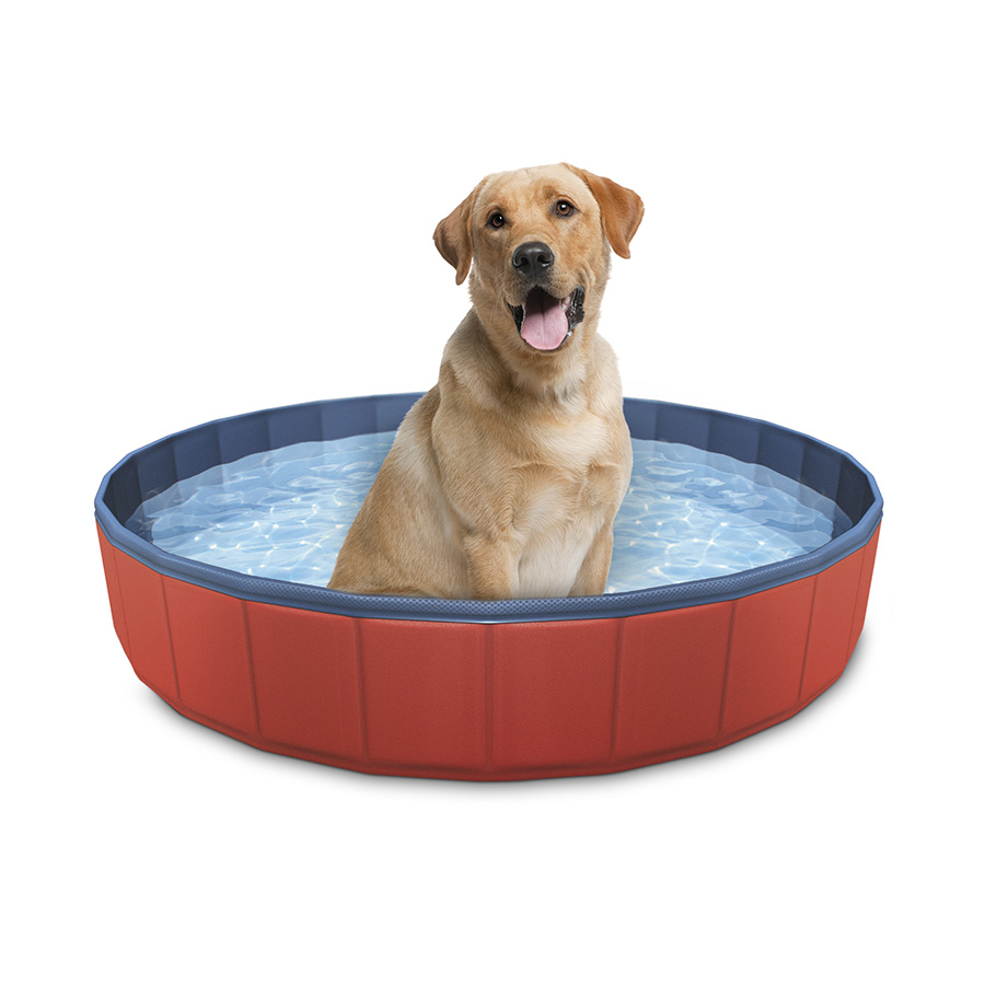 Summer Vibes Piscina para