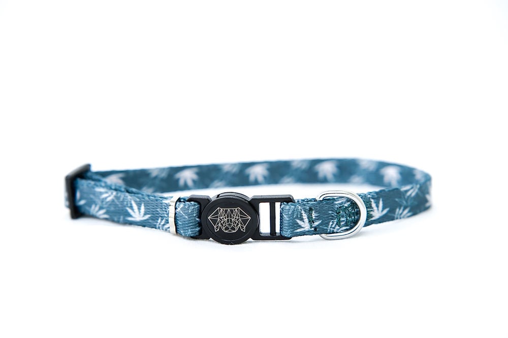 Collar de Gato LIL STONER 1cm