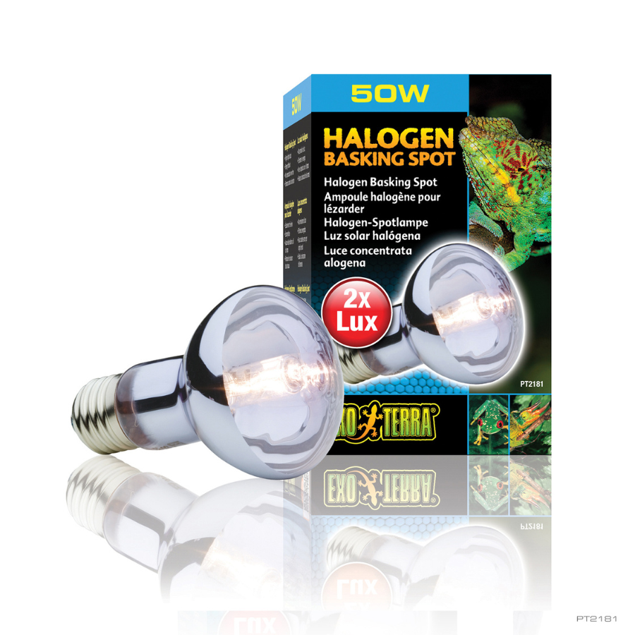 Exoterra Bombilla para reptiles Halogen Basking Spot