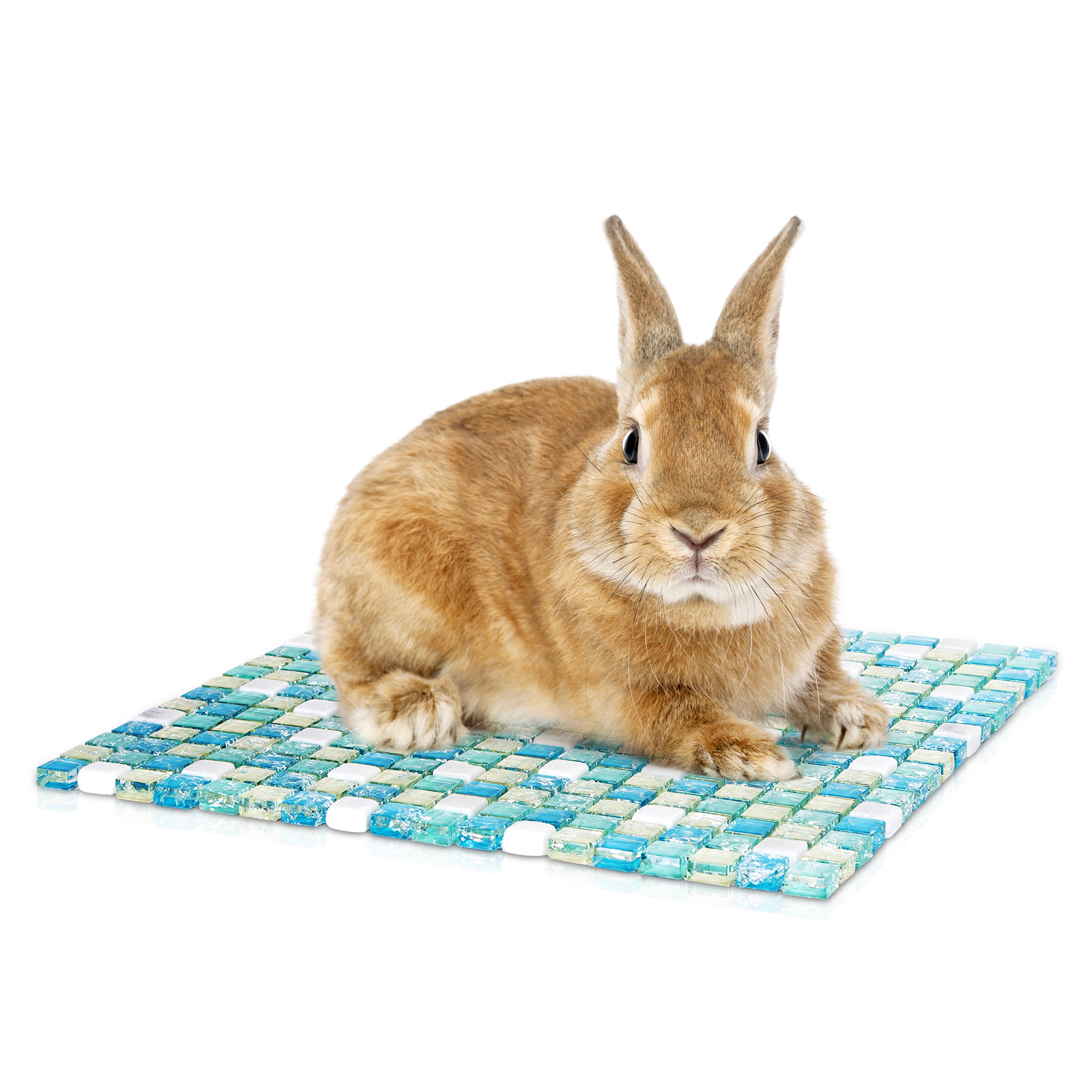 Nobleza - Alfombrilla Refrescante para Hámster, Almohadilla de Enfriamiento para Conejos, Placa De Refrigeración Para Conejito, Pequeños Animales