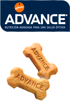 Hypoallergenic snack para perros