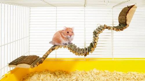 Puente pasarela de madera juguete para hamster