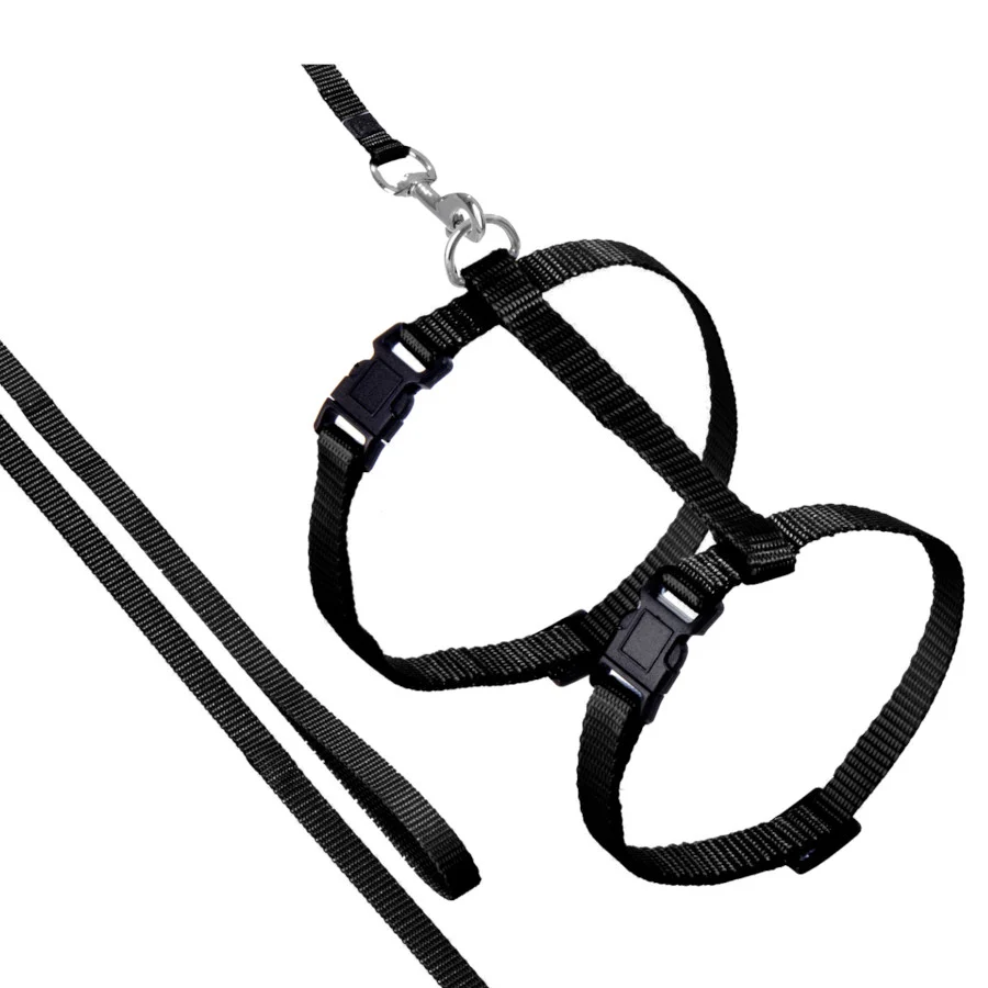 Flamingo Arnés con Correa Ziggi Negro para gatos