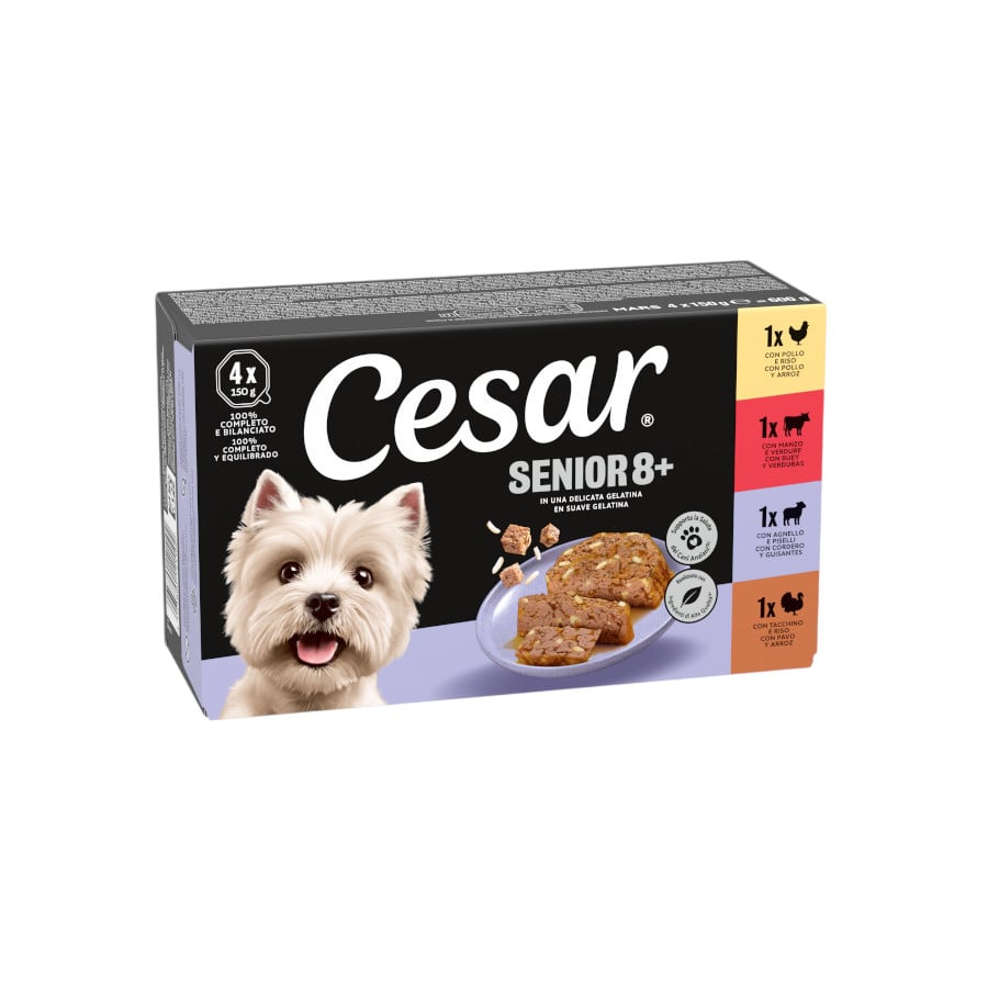 12 tarrinas x 150 g Cesar Carnes Mixtas Tarrina en Gelatina para Perros Senior  ¡Pack ahorro!