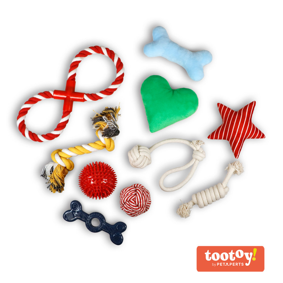 Tootoy! Chew Exploration Toys - Set de juguetes para cachorros