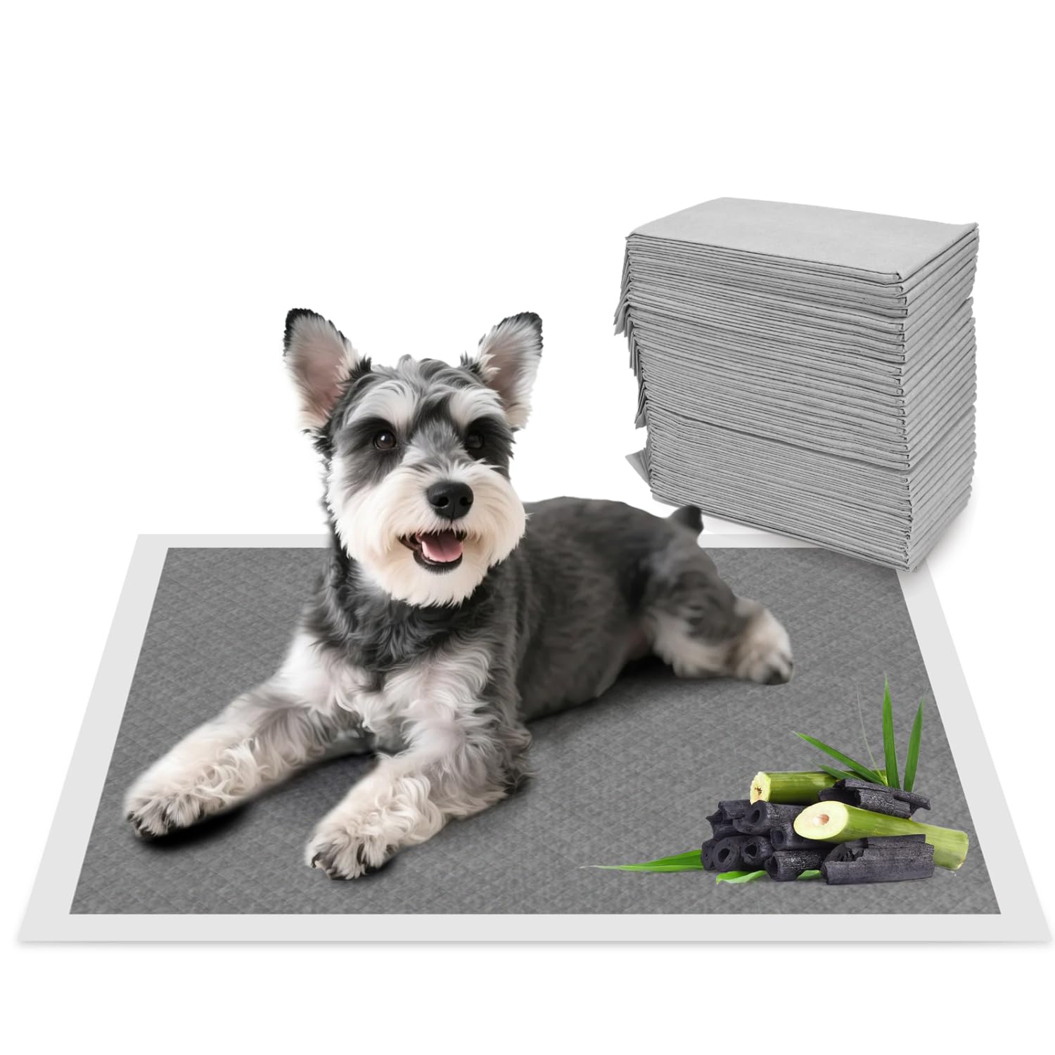 Nobleza Empapadores Perros 60x60cm (50 Unid), Carbón Activado para Control de Olores, Absorbe al Instante ¡Secado Rápido! Almohadillas de Antiderrames