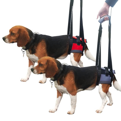 Transportador – Arnés de mano para perros con parálisis en patas delanteras o traseras HANDY CANIS Talla M