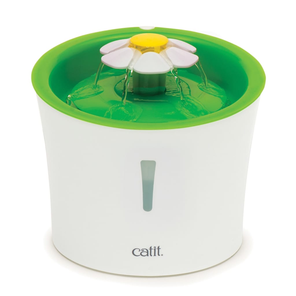 Fuente De Flor De Gato