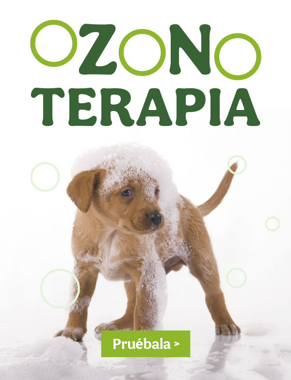 Ozonoterapia