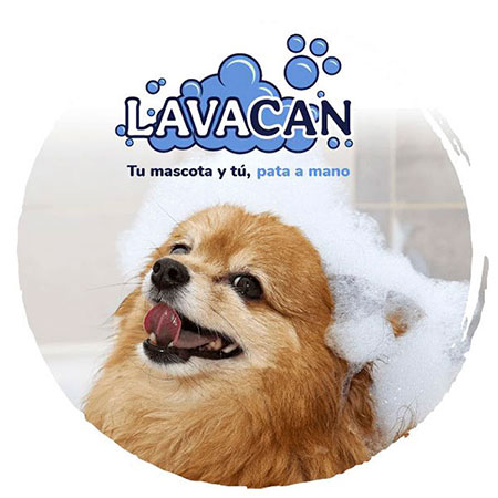 Lavacan