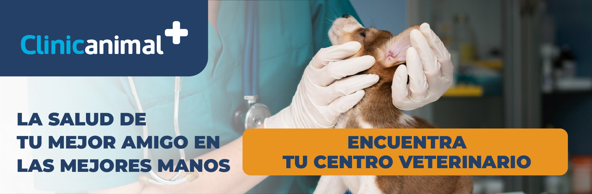 Ozonoterapia