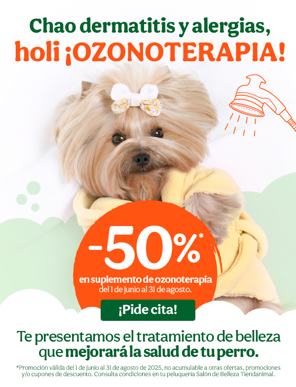 Ozonoterapia