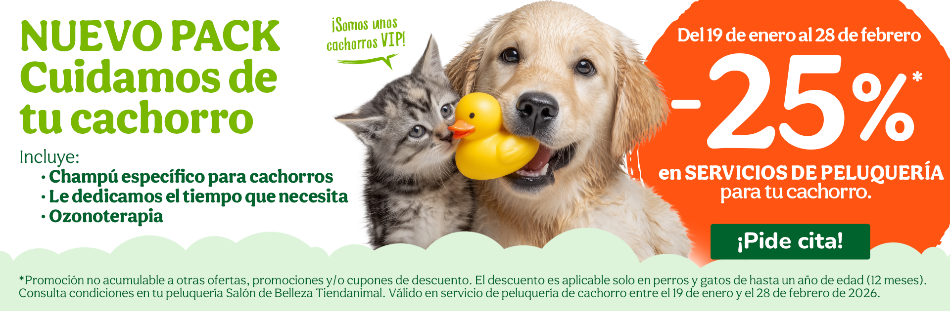 Adorable se nace y también se hace